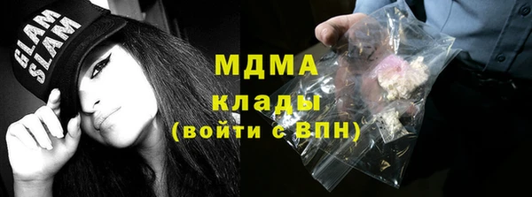 гашик Бородино