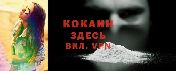 гашик Бородино