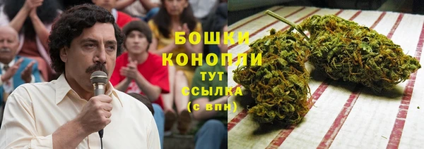 МДПВ Бронницы