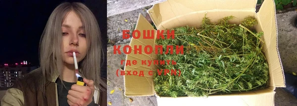 МДПВ Бронницы
