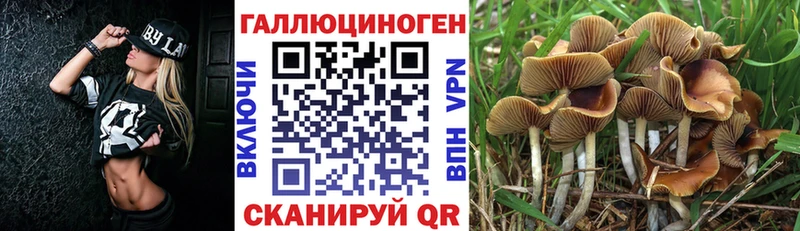 Галлюциногенные грибы ЛСД сколько стоит Южноуральск